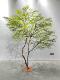 Large Artificial Nandina Bamboo Green Plant, Fake Tree for Indoor and Outdoor Dry Landscape Decoration, Luxury Artificial Tree