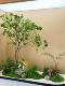 High-End Artificial Horsewood Hanging Tree for Indoor Decoration, Landscape Tree for Window Displays, Fake Plant for Stairway Landscaping
