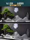 Natural Snow Wave Stone, Welcoming Pine Landscape Stone, Beauty Pine for Landscaping, Paired with Indoor Pine Trees and Dry Landscape Decoration
