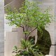 Artificial Bellflower Tree, Large Japanese Green Plant for Interior Design, Window Display, Horsewood, Nordic Nis Style Decorative Fake Tree