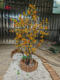 Artificial Trees, Fake Sea Buckthorn Trees, Artificial Fruit Trees, Home Floral Art, Soft Decoration, Indoor and Outdoor Floor-Standing Landscaping Decorative Ornaments