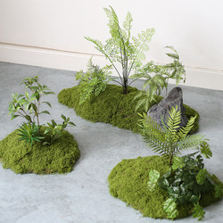 Artificial Moss Indoor Soft Decoration Micro-Landscape Set Combination for Window and Corridor Fake Moss Green Plant Landscaping Arrangement Decoration