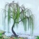 Artificial Large Willow Trees for Landscape Decoration in Parks, Shopping Malls, and Window Displays