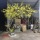 Artificial Yellow Wintersweet Tree, Plum Blossom Branch Chinese-Style Decoration for Shopping Malls, Hotels, Living Rooms, Large Floor-Standing Wishing Tree for Landscaping