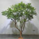 Simulated Green Plant Decoration, Simulated Painted Wood Tree, Indoor Potted Plant, Fake Tree Ornament, Large Simulated Tree, Floor-Standing Fake Plant