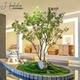 High-End Horsewood Window Display Landscaping, Artificial Plants, Indoor Simulated Greenery, Decorative Trees, Large Fake Trees, Minimalist Landscape