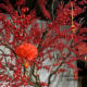Simulated Red Fruit Tree, New Year Decoration Tree, Simulated North American Holly Tree, Red Fortune Tree, New Year's Eve Flower, Large Wishing Tree
