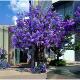 Artificial Blue Jacaranda Tree, Fake Tree, Cherry Blossom Tree, Purple Indoor Living Room Wedding Decoration, Window Display, Floor-Standing Decorative Landscape