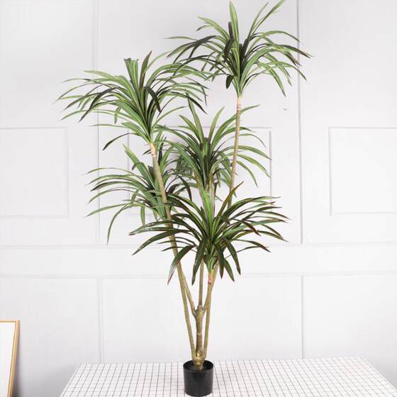 Nordic Large-Scale Artificial Dragon Blood Tree Green Plant Fake Tree Potted Plant Floor Plant Millennium Wood Living Room Decoration