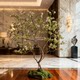 Premium Island-Style Artificial Green Plants for Indoor Decoration, Floor-Standing Ornaments, Simple Plants for Chinese-Style Tea Room Landscapes