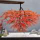 Wall-Mounted Artificial Green Plants, Green Maple Tree, Red Maple Tree, Hanging Maple Leaf Tree, Wall-Mounted Side Hanging Wall Decoration Artificial Tree