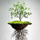 Hanging Suspended Artificial Tree for Entryway Decoration, Indoor Landscape Hanging Ornament, Faux Biotic Plant Space Decoration