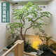 Simulated Maple Tree, Chicken Claw Maple Landscape Display Window, Shopping Mall Tea Room Artificial Tree Decoration, Floor-Standing Ornament, Solid Wood Tree Landscaping