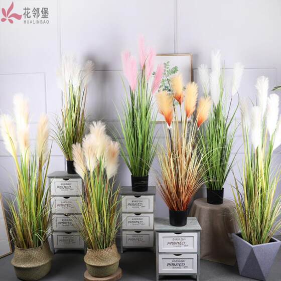 Nordic Ins-Style Artificial Onion Grass with 5 Heads, Reed Grass Green Plant Potted Decoration for Living Room and Bedroom, Fake Foxtail Grass Potted Plant
