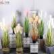 Nordic Ins-Style Artificial Onion Grass with 5 Heads, Reed Grass Green Plant Potted Decoration for Living Room and Bedroom, Fake Foxtail Grass Potted Plant