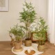 Artificial Bamboo Decoration for Landscaping, Fake Bamboo, Artificial Plant Potted Plants, Indoor Zen-Style Green Plants, Bamboo Partition Wall