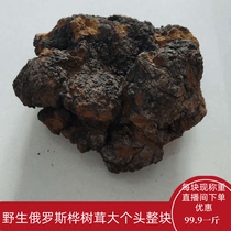 More than 30 years of wild whole chunks of birch velvet birch tears 500g live room weighing