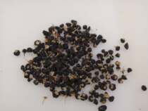 Hardcover pure wild Yichun black wolfberry leave-in pure large particles net weight 250g Taobao live