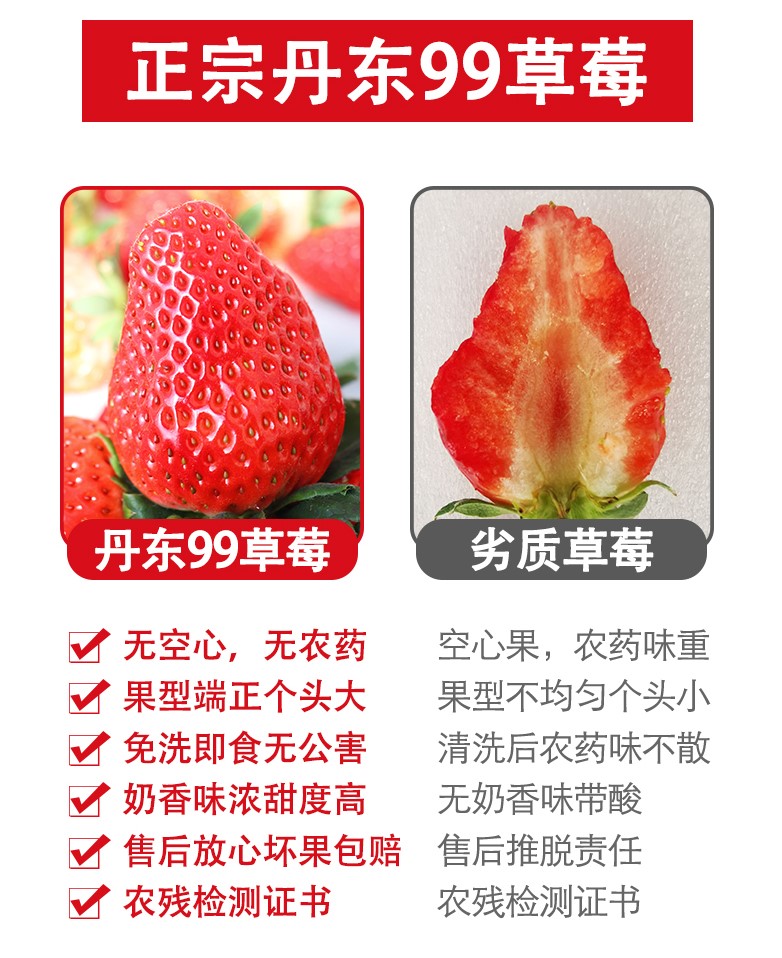 丹东东港 99红颜奶油草莓 3斤 图1