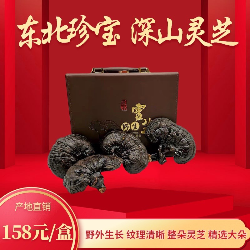 Long white Mountain Lingzhi Year Goods Gift Box Installed Pure Natural Northeast Bubble Wine Tea Forest Lower Red Purple Big Duo Authentic Wild-Taobao