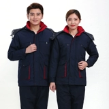 Tianneng Group Зимняя хлопчатофора