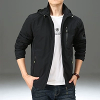 5020 Черно-пружина и осень