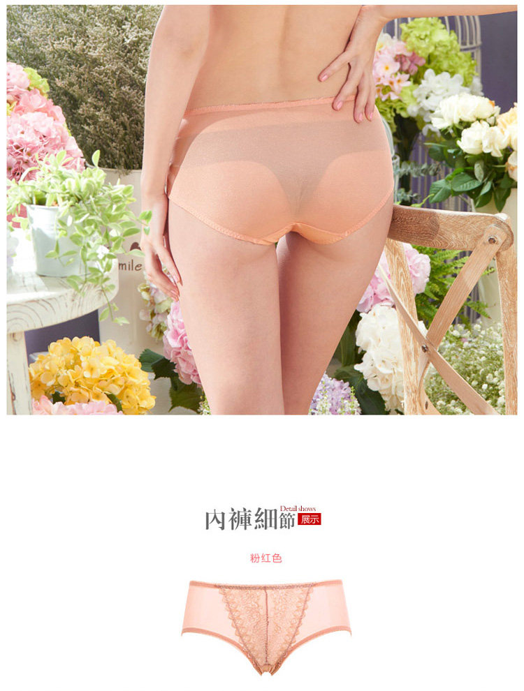 Slip REALWILL 504216_01 - Ref 667556 Image 15