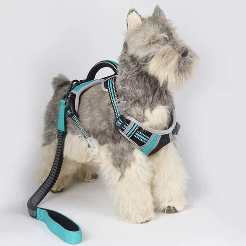 Торкция собачьего жилета Тедди Фонд члена Мао Сяо, Средняя большая собака собака Барт Барт и обратная прогулка для собак веревка