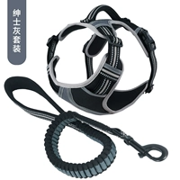 Джентльмен серо -коричневый задний сет