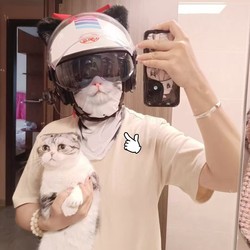 너무 치열해서 고양이가 자전거를 타는 것을 본다