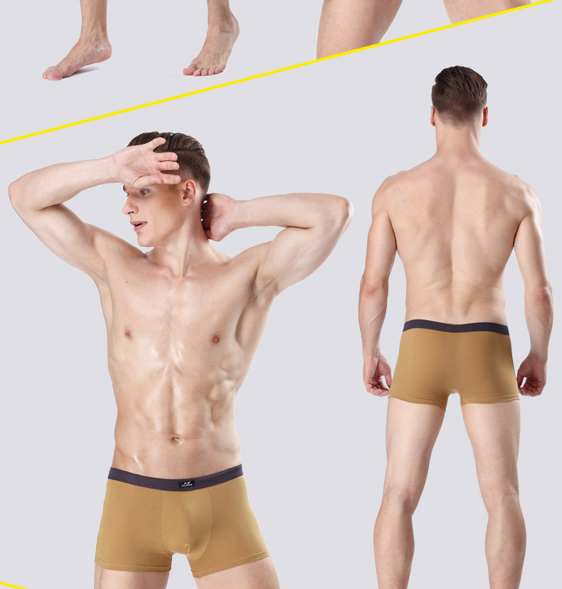 7 hộp quà tặng bông nam đồ lót nam boxer cotton thanh niên thanh niên thể thao kích thước lớn quần short thoáng khí