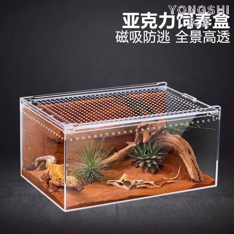 Acrylic Reptile Breeding Box for Reptiles, Geckos, Hermit Crabs, Lizards, Snakes, Horned Frogs, Spiders, Snails, Beetles, Ecological Tank Acrylic Reptile Breeding Box for Reptiles, Geckos, Hermit Crabs, Lizards, Snakes, Horned Frogs, Spiders, Snails, Beetles, Ecological Tank