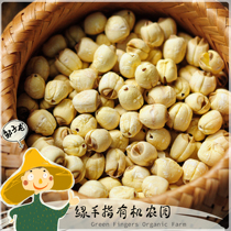 Green finger ecological lotus seed (Jianlian) *Eco - lotus seed) The cooperative production of the