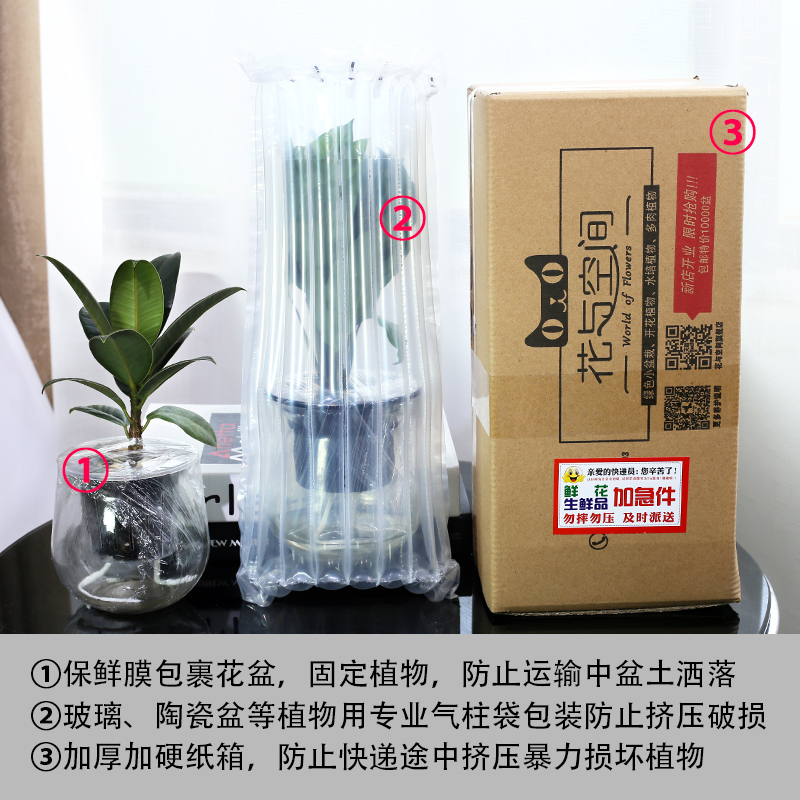 Lazy fleshy flowerpot creative ceramic refers to copper grass indoor hydroponic the plants potted meat meat automatic water basin