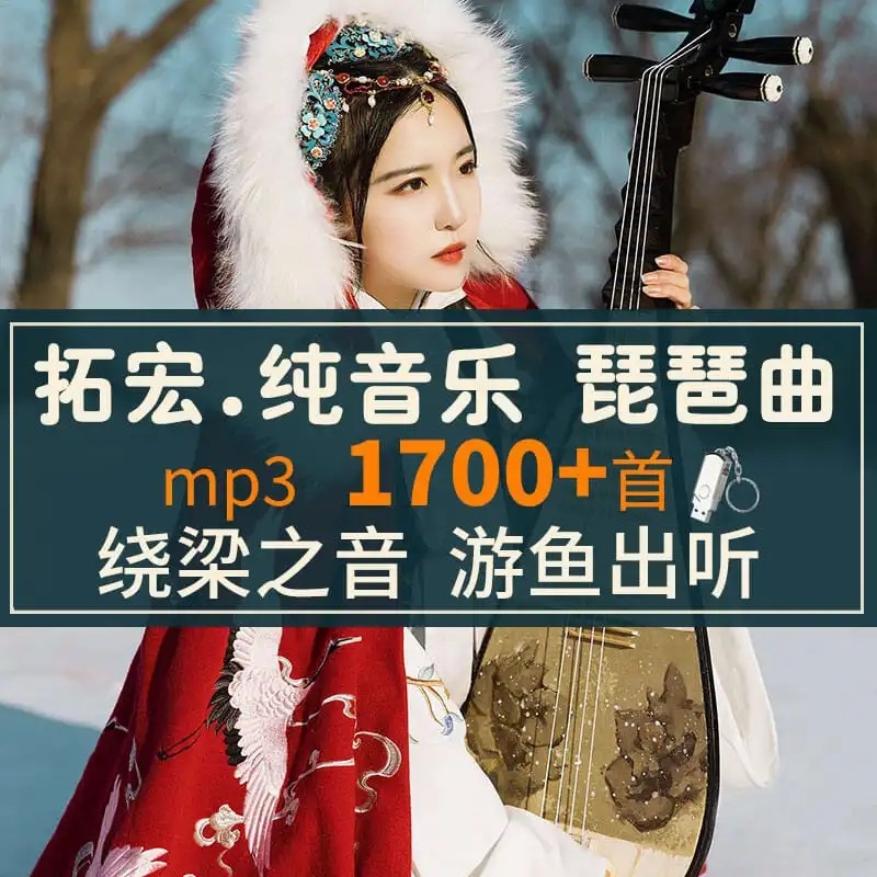 Selected 1700 First Pipa Music U pan light pure music HD sound quality USBUSB with body disc TF card Demonstration Quit flash memory card