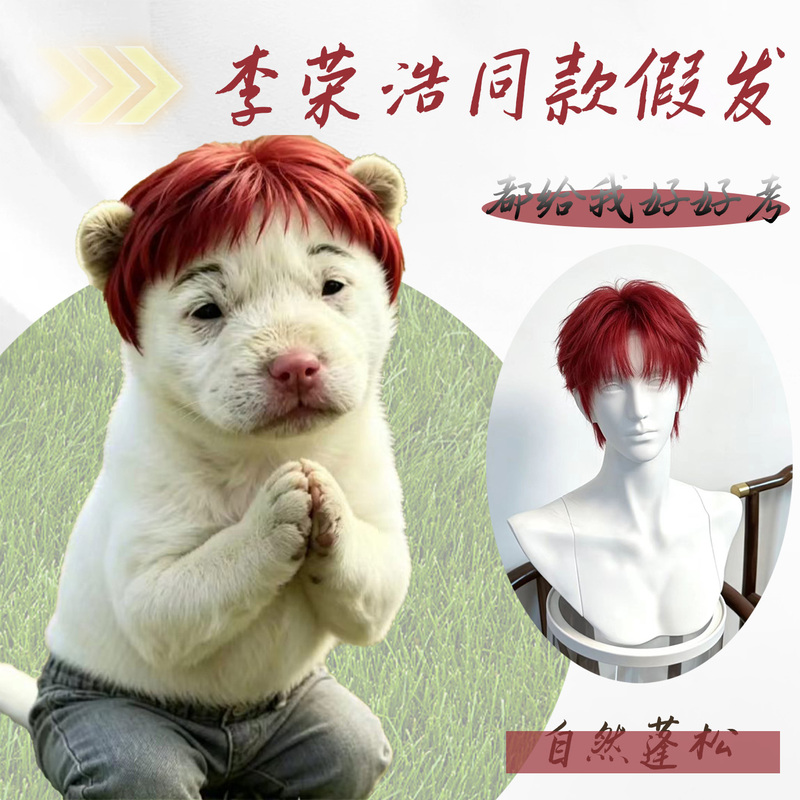 Li Ronghao's Same Style Wig for Men, Flame Red with Slightly Layered Bangs, "Give Me Your Best," Internet Celebrity Performance Full Wig