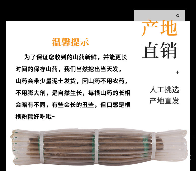 Yam General Page_10.jpg