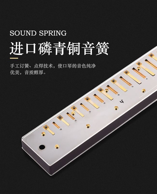 Nhập khẩu chiêng xuân 28 lỗ đa âm / có dấu c hòa tấu người lớn mới bắt đầu chơi nhạc cụ chuyên nghiệp - Nhạc cụ phương Tây ampli guitar điện