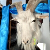 Монгольские ремесла для овец подвеска Большой овечьей рог.