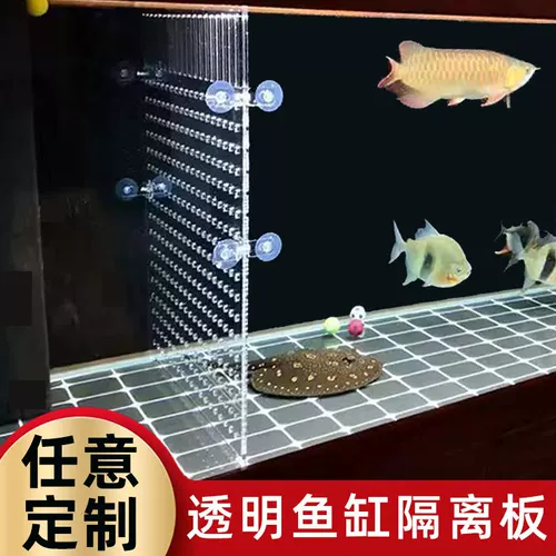 Акриловая доска аквариума, перегородка, небольшая сеточная плата прозрачная рыба