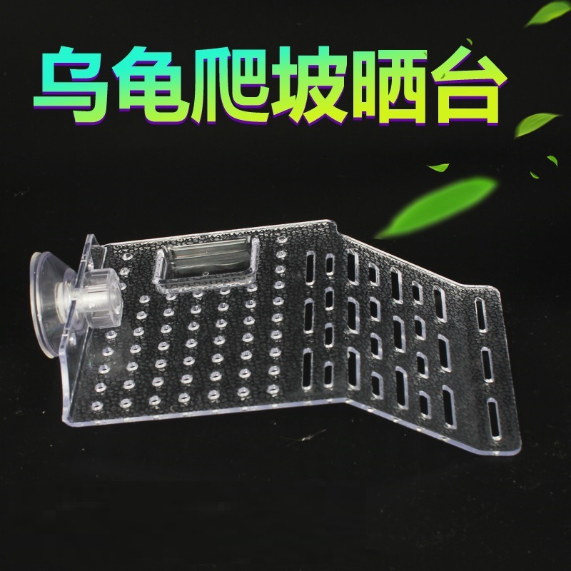 Brazilian Tortoise Vat Sun Back Terrace Turtle Case Climbing Terrace Floating Island Floating Terrace Dodging The Resting Tortoise Pond Och View Acrylic