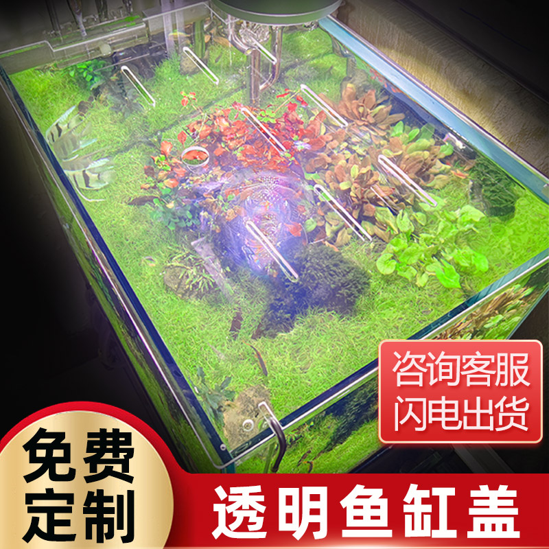 水槽カバー ジャンプ防止ネット アクリルジャンプ防止ネット カバー 落下防止ネット サンダードラゴン 脱出ネット 爬虫類ネットカバー 水槽上部カバー