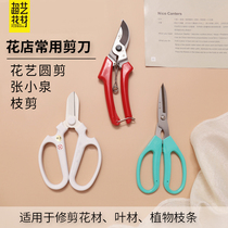 Zhang Koizumi Scissors Branches Cut Flowers Branches Ribbon Cutting Wrapping Paper Scissors Flowers Art Iron Wire Pliers Flower Shop Supplies Fake Flower Cut