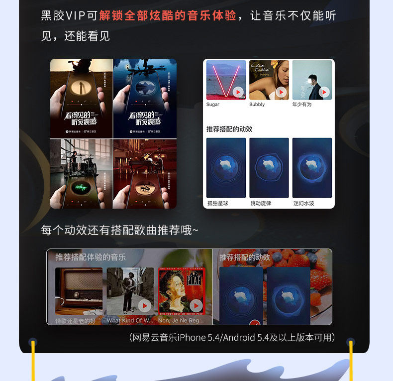 网易云音乐黑胶会员双12促销:半年卡53.8元(原价90元)