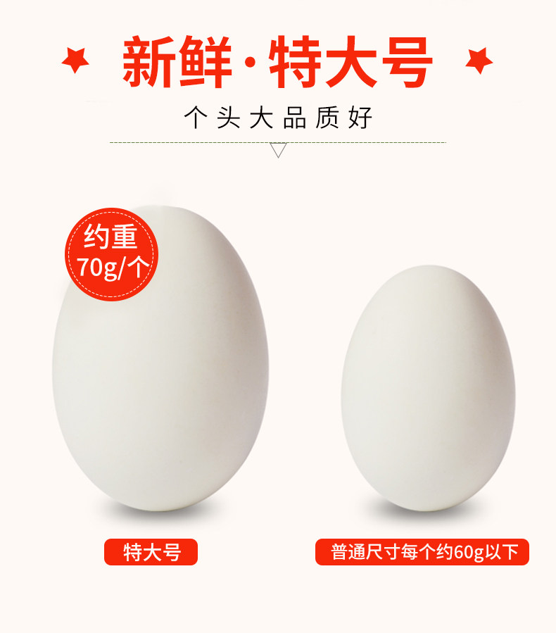 北部湾特产 鸭中宝 红树林特大烤海鸭蛋 70g*20枚 图2