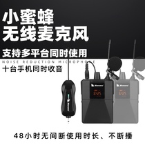 IBanana Honey bee lavalier wireless microphone Computer network class live interview radio mobile phone microphone Professional recording equipment Full set of notebook SLR outdoor one drag two