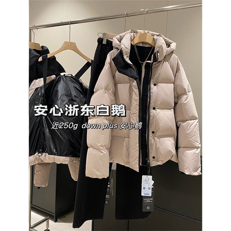 In Blue Off-Season Clearance! Only 38 Pieces! Zhejiang East White Goose Traceable 90 Three-Star Goose down Hooded down Jacket In Blue Off-Season Clearance! Only 38 Pieces! Zhejiang East White Goose Traceable 90 Three-Star Goose down Hooded down Jacket