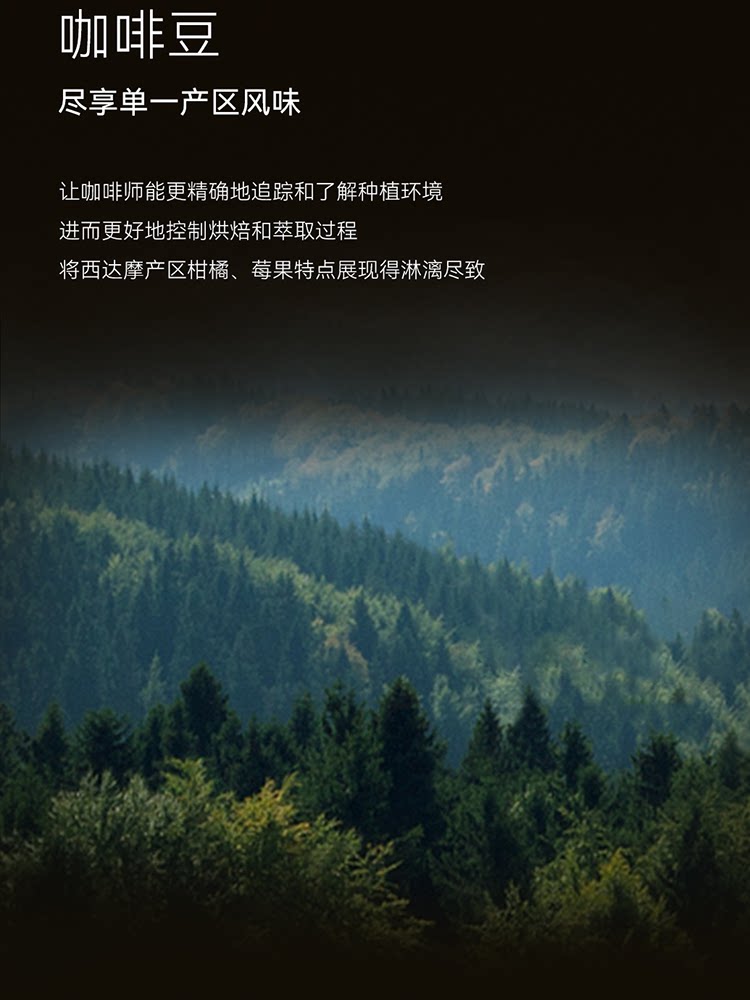 【中国直邮】 瑞幸咖啡 【Aga冠军臻选-中深烘焙】传奇奶咖拼配咖啡豆 *1袋