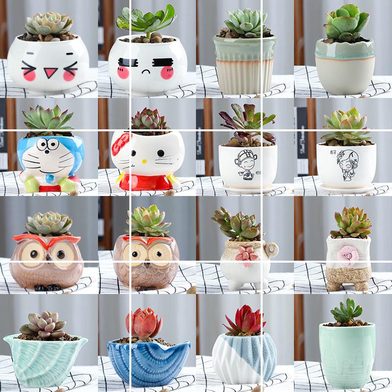Fleshy potted flower pot small creative move ceramic indoor the plants flowers, Fleshy meat meat thumb