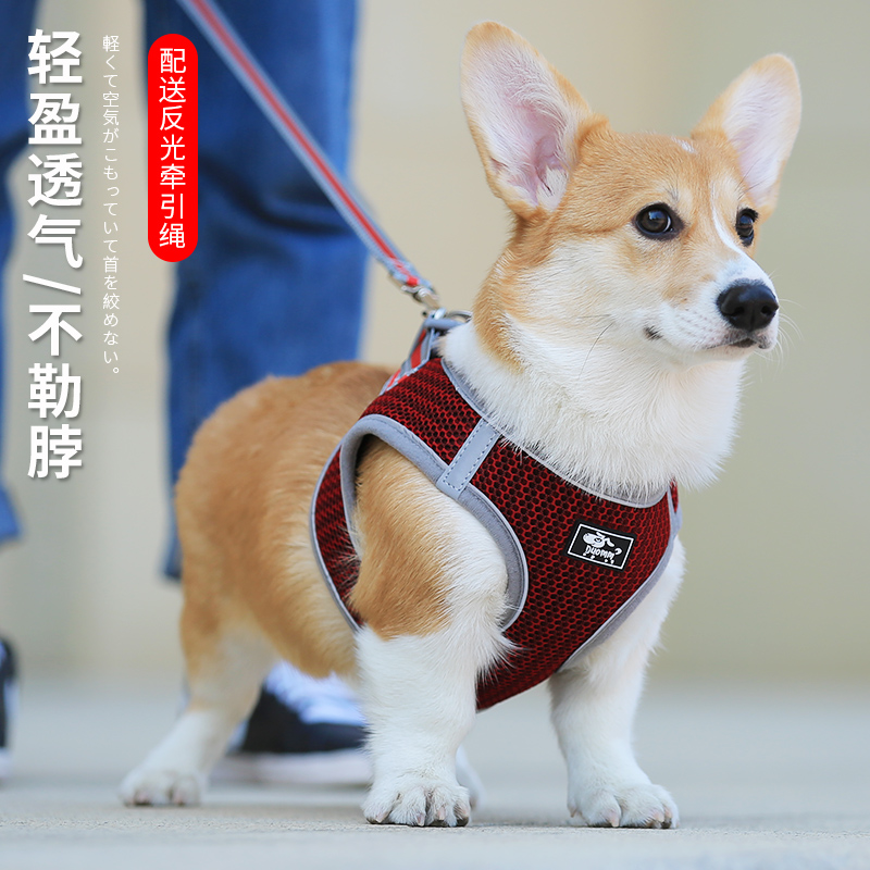 Dog traction vest type dog chain small dog teddy dog ​​rope corgi chest hold baby bag pet supplies dog walking rope